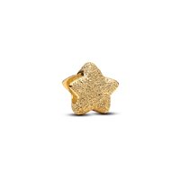 Charm Pandora Donna in Argento 764050C00 - 764050C00